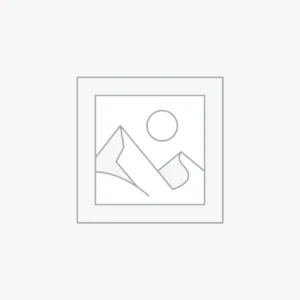 Dyson V15 Detect Vacuum