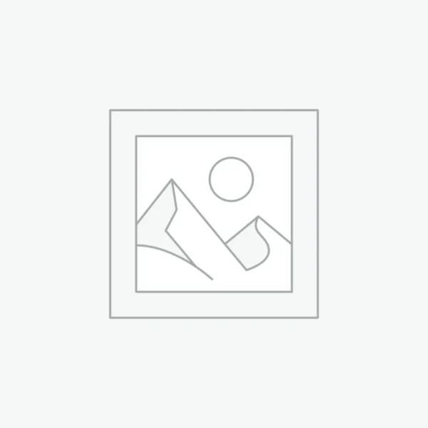 Dyson V15 Detect Vacuum